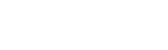 Regency Partners