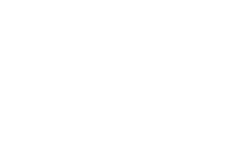Therapy Inc