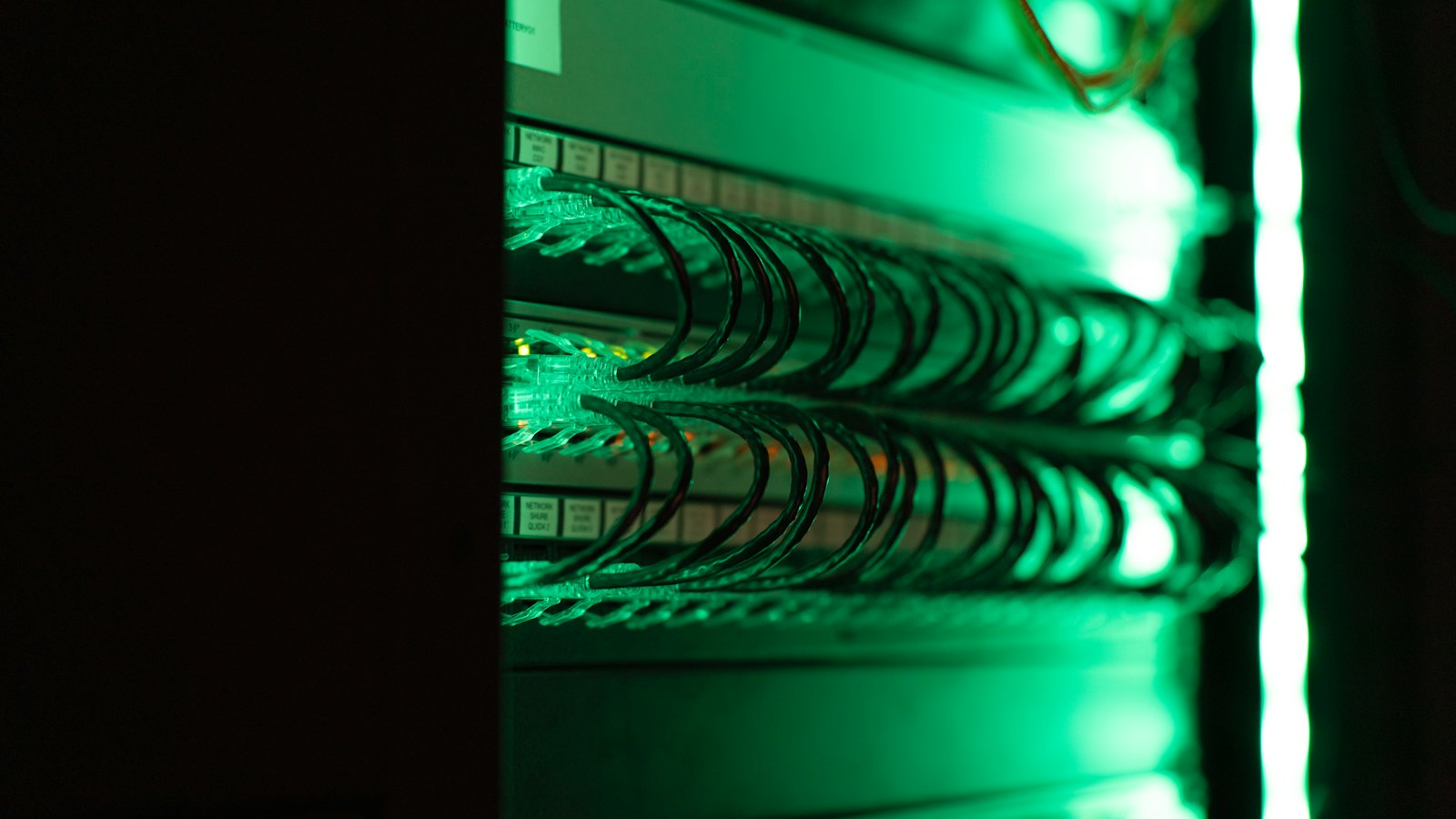 Patch panel in a server rack with looped network cables, lit from the side
